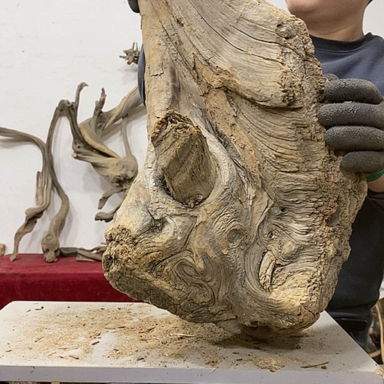 【闪购商品】柏木展****）我们都是好孩子