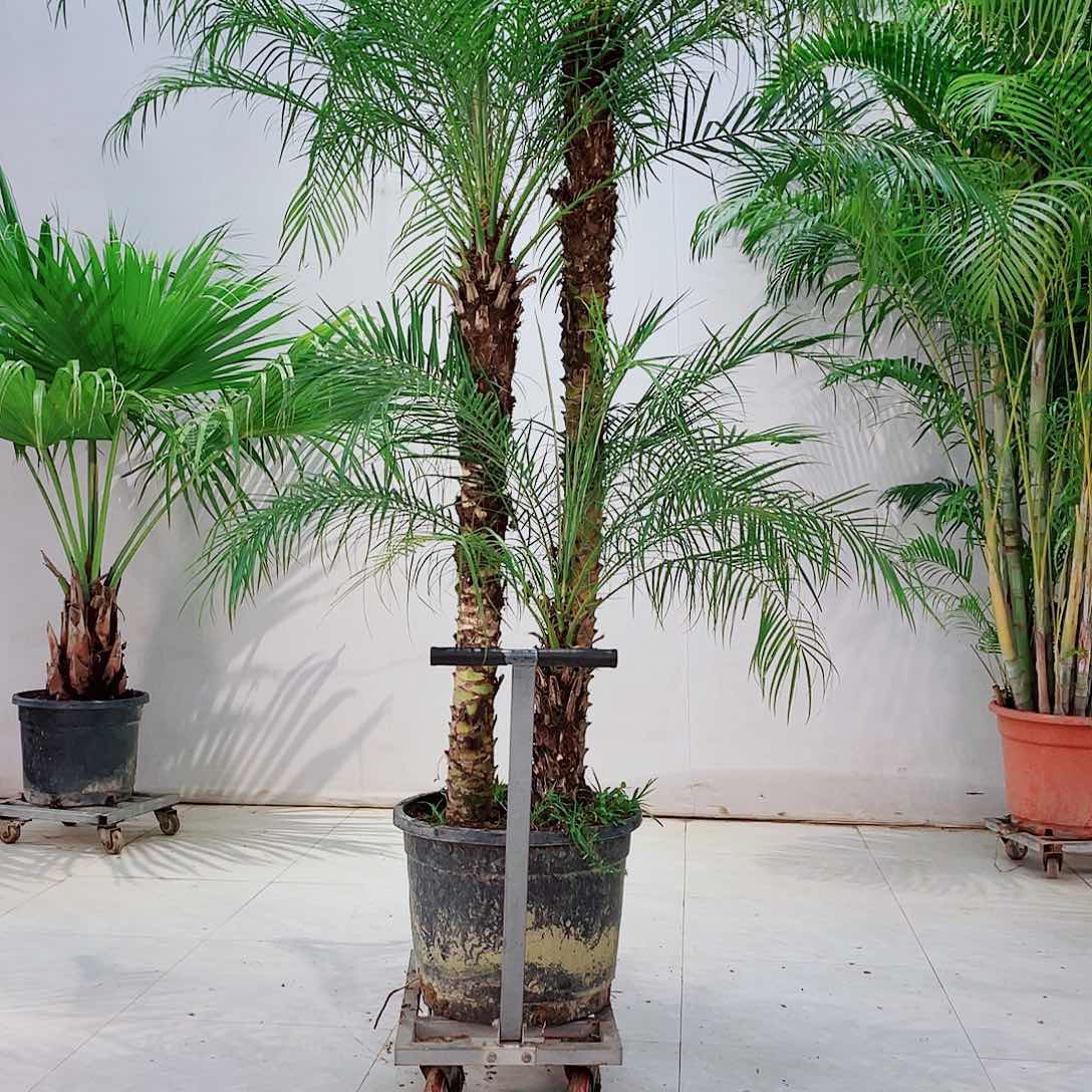 随*哥14678999000090909