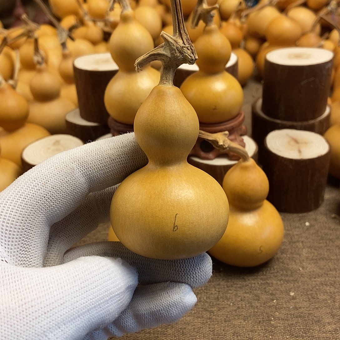 文玩葫芦 完美主义者 慎拍6