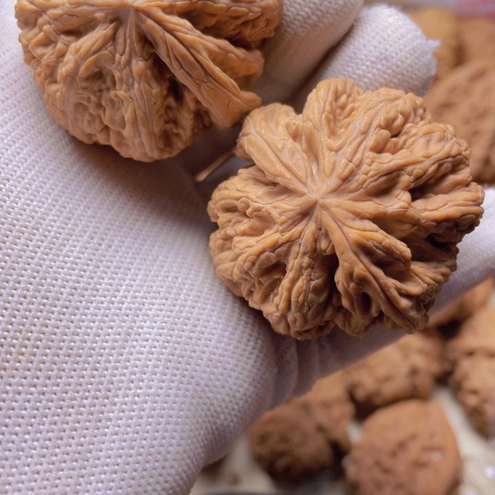 桃核吊坠大粗筋狮子头