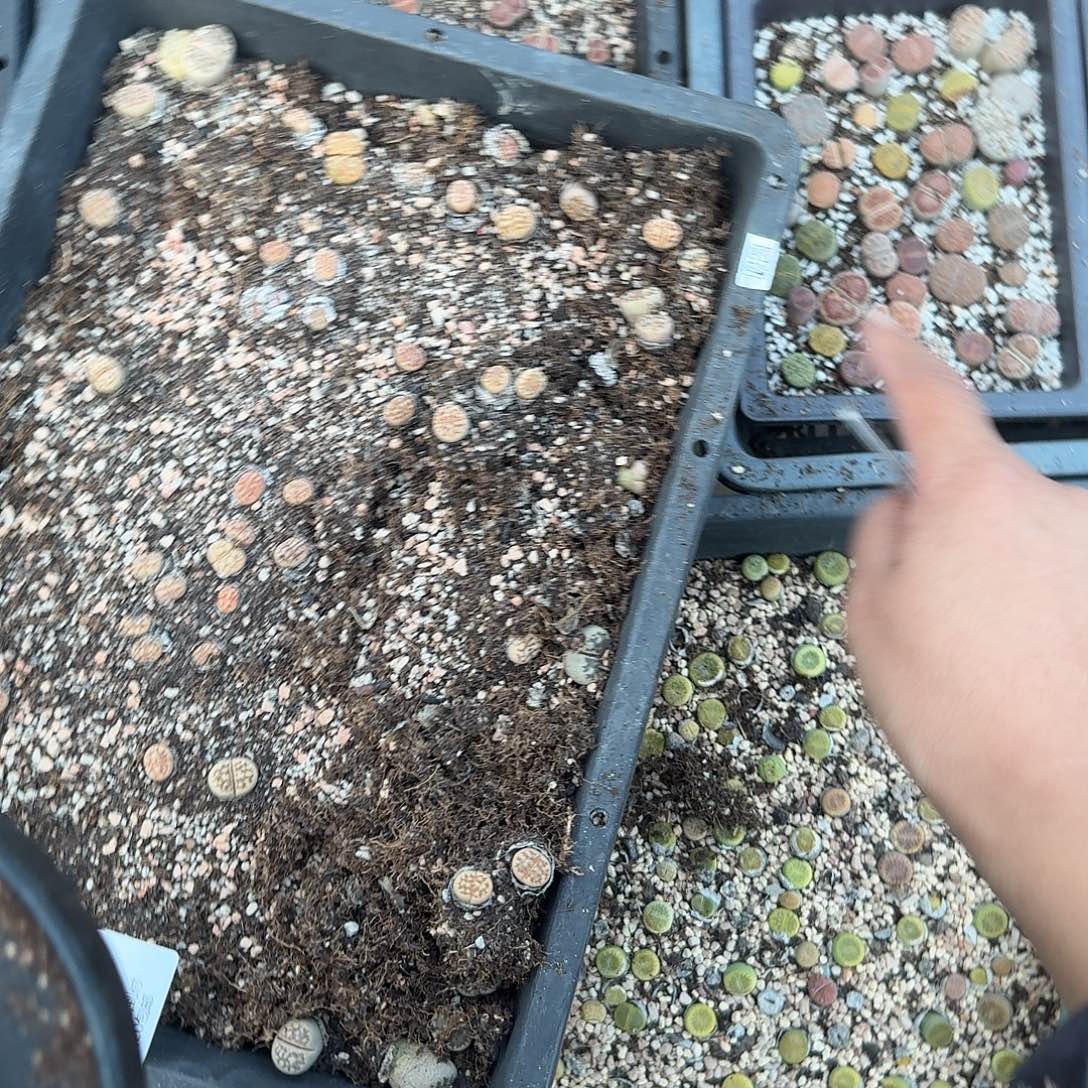 你好帅气喔啊打621哈哈