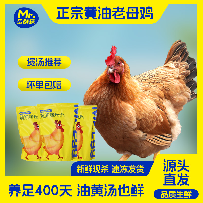 【精选老母鸡】心胗蛋花黄油丰富正宗老母鸡3只装共6斤以上煲汤鲜美商品图