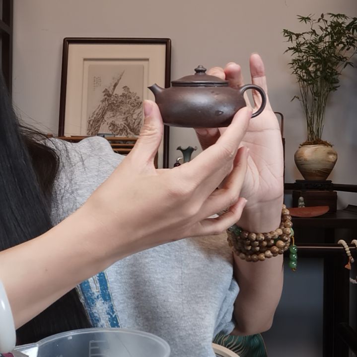 一***禅茶壶紫砂寒江孤影