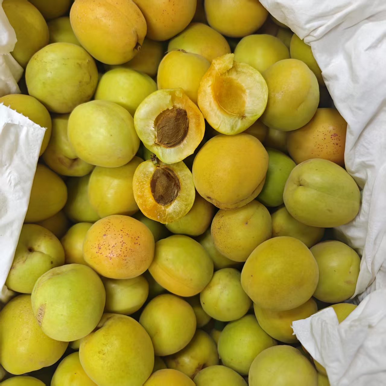 【散装】香甜的吊干杏--4斤-- 仅大同市平城区云冈区可拍