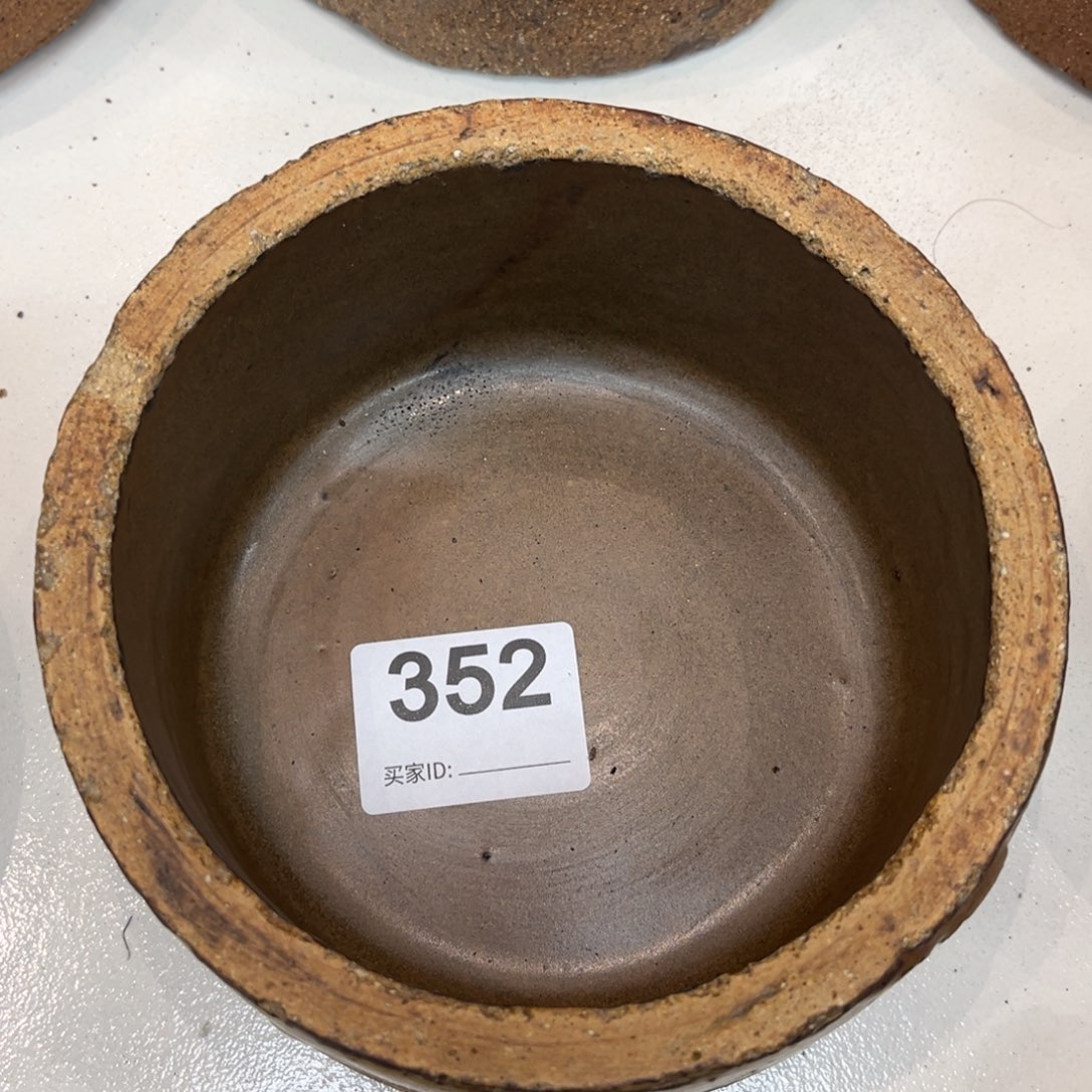 瓷片开播福利小钵有瑕352号