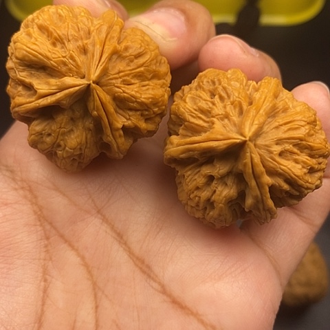 文玩核桃把件38尺云南核桃