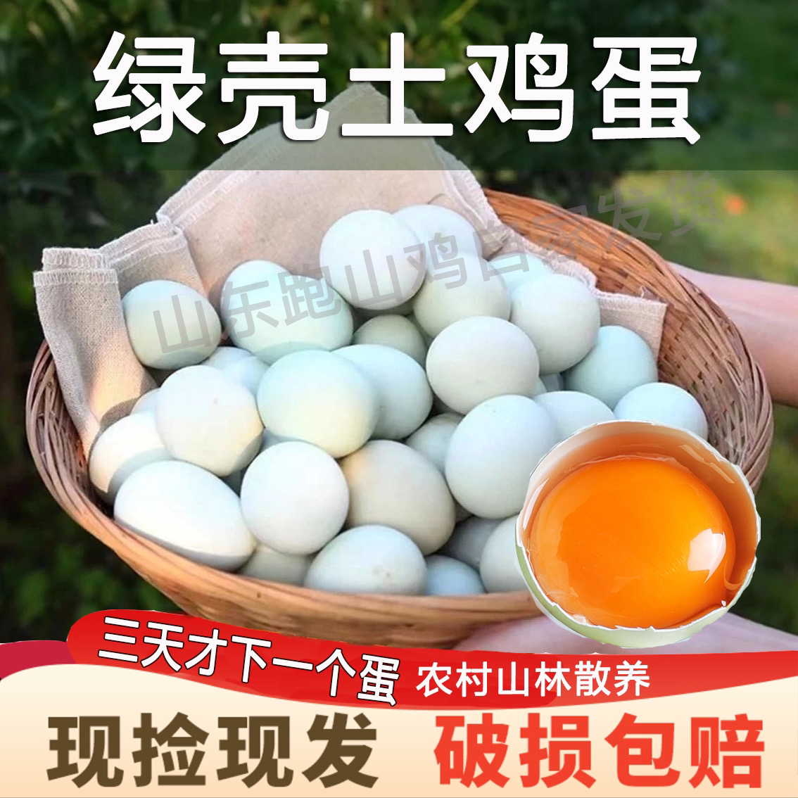 【山林散养】新鲜现捡现发 绿壳鸡蛋 40枚净重1600g 破损包赔