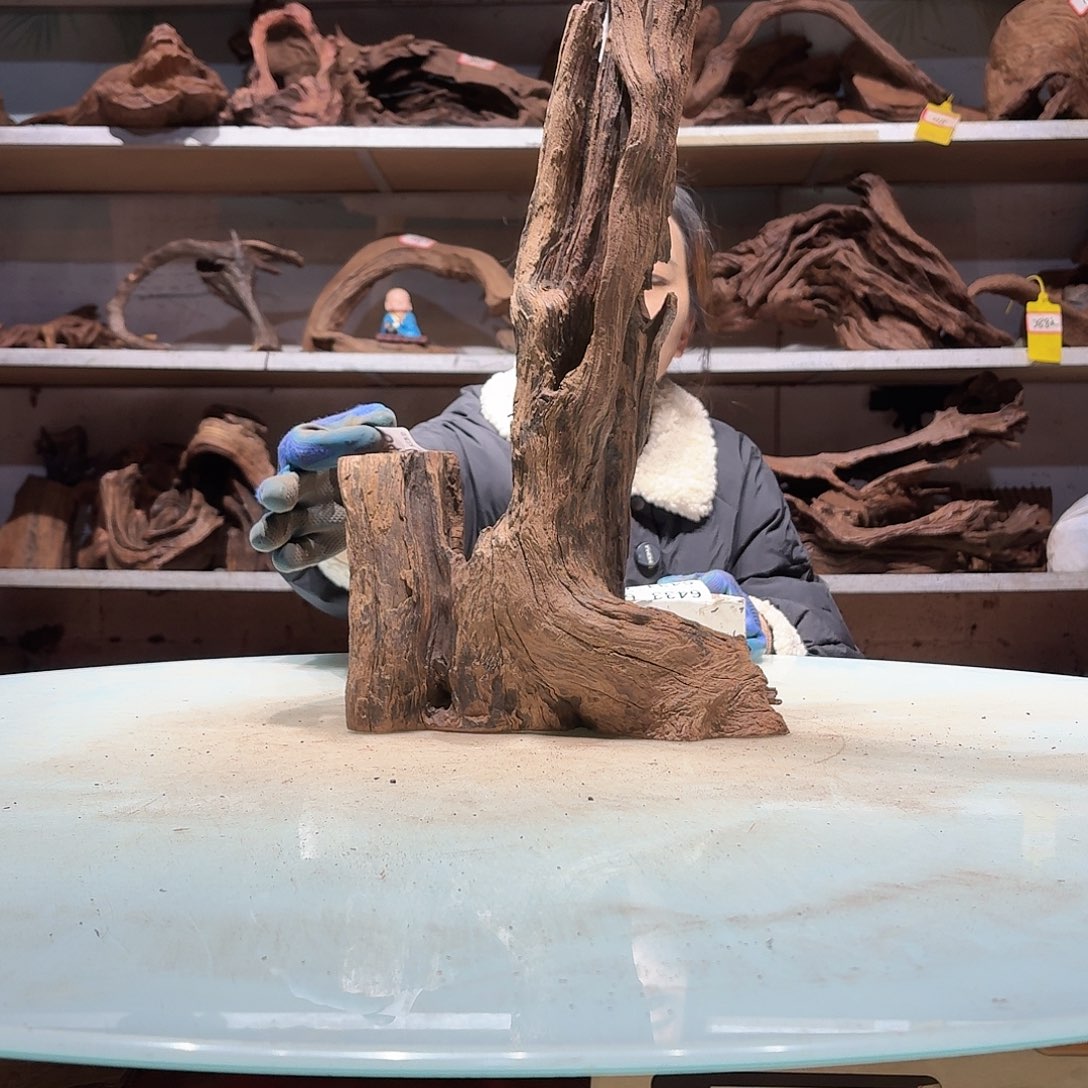 倍褚沉木不包损必褪色木*6422