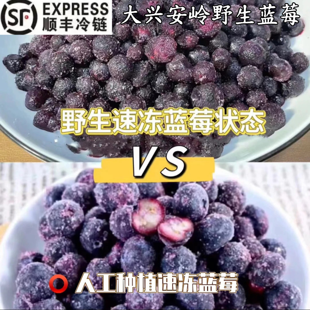 大兴安岭野生速冻蓝莓5斤10斤20斤（顺丰冷链包邮）
