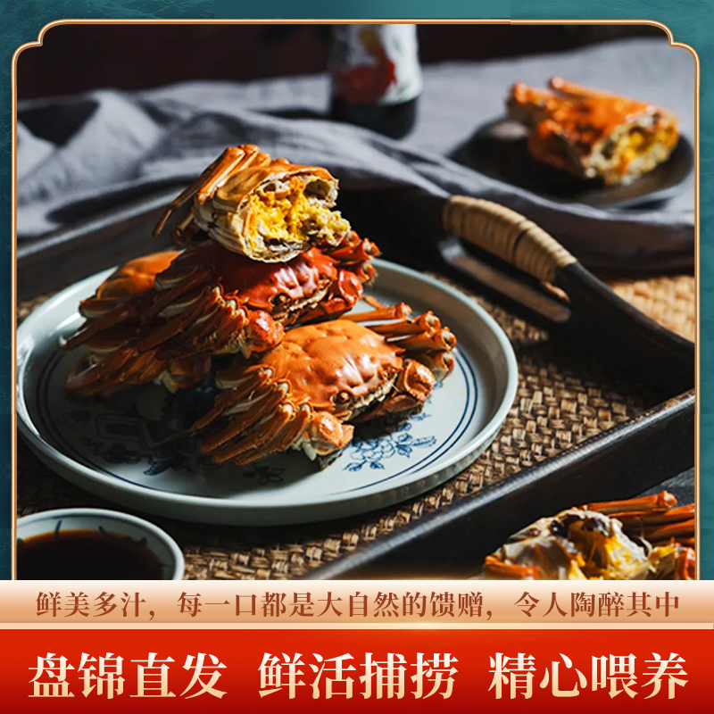 【活蟹】盘锦河蟹 （1.3-1.5 两）母蟹 2斤 新鲜到家（15-13只）