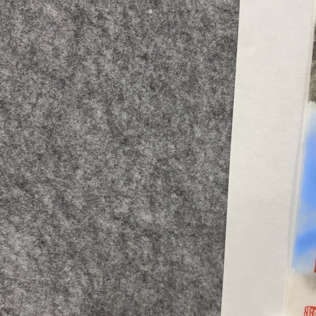 ****几国画国画花鸟作品