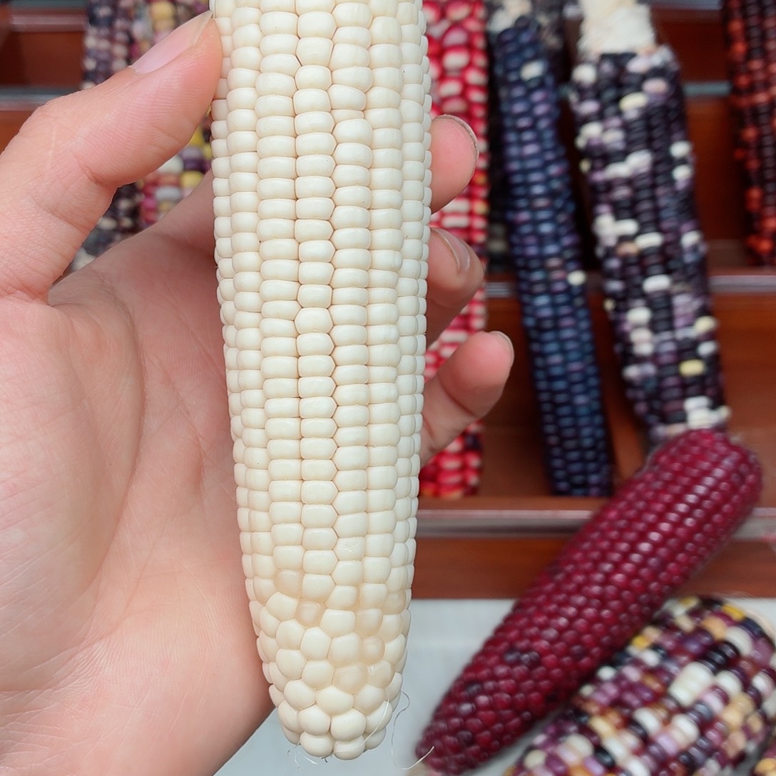 -***0吊坠白玉菩提文玩玉米毛料精品