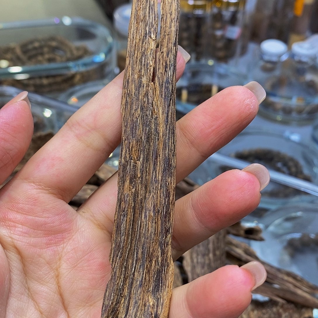 沉香沉香碎屑越南芽庄虫漏原料随机5克