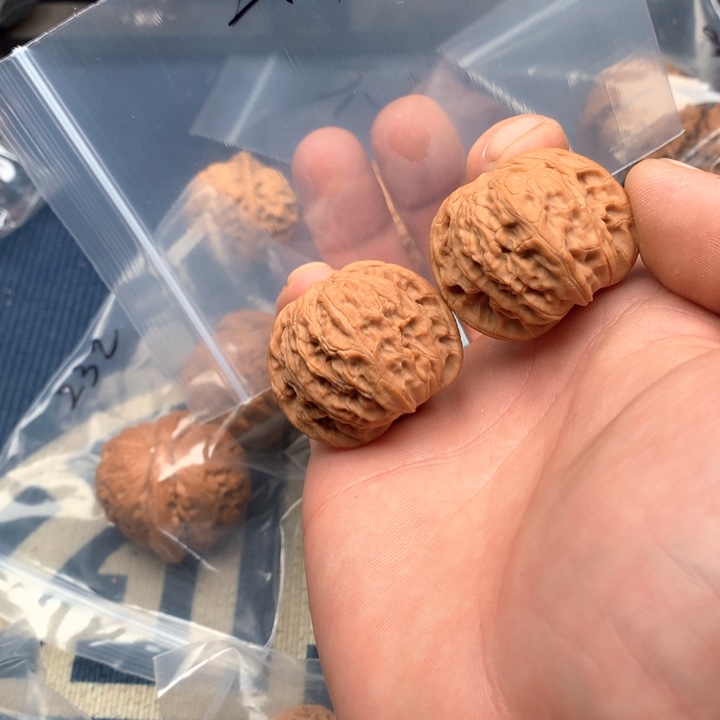 文玩核桃吊坠37磨盘299