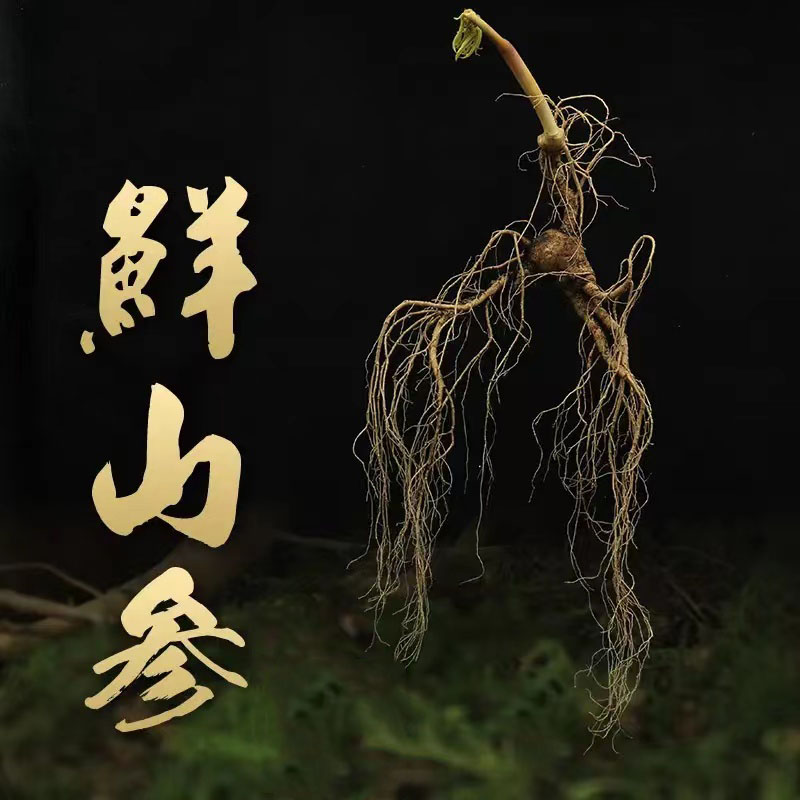 长白山林下参直播改价链接