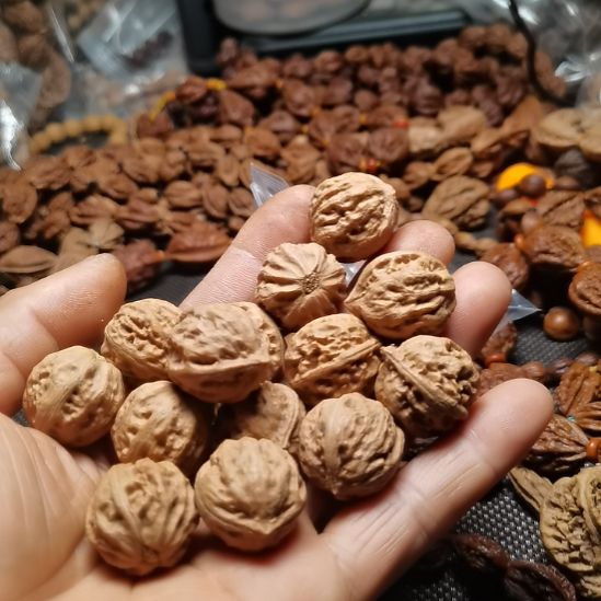 牧***歌吊坠文玩核桃东北楸异形籽小核桃31