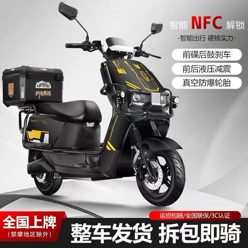 飞野1500W新款高速长续航可装锂电池两轮电动代步车