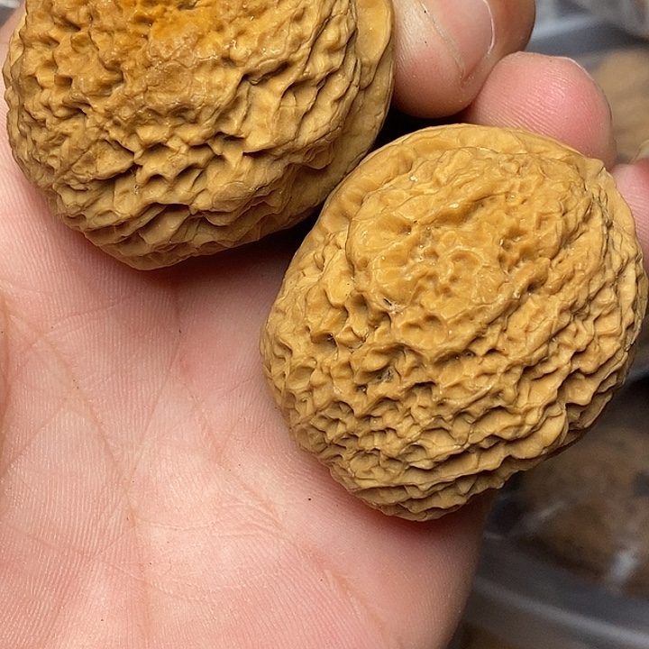 文玩核桃把件志成云铁文玩26