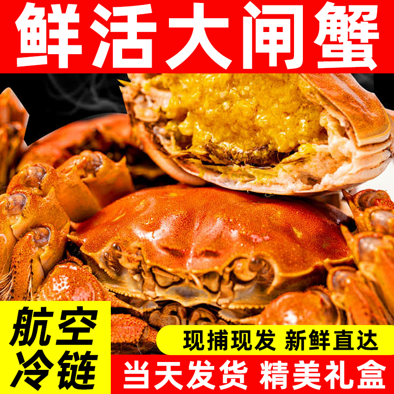 【活蟹】大闸蟹 母2.1两 6-10只
