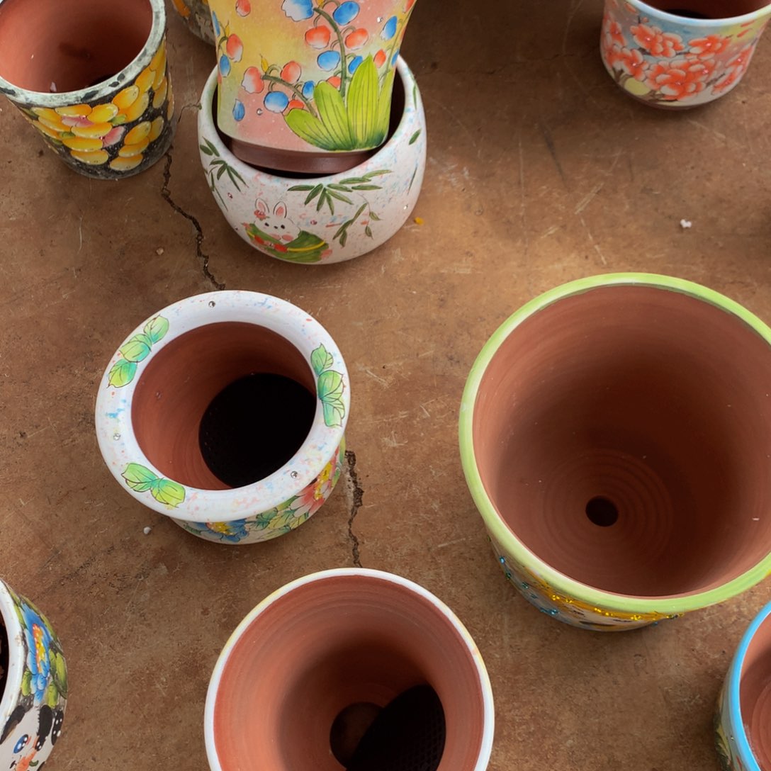 欣**贝多肉000000000