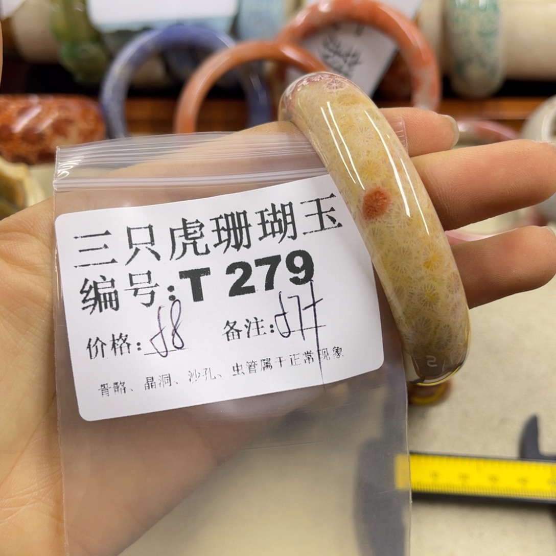 平***花硅化珊瑚（珊瑚玉）未镶嵌h