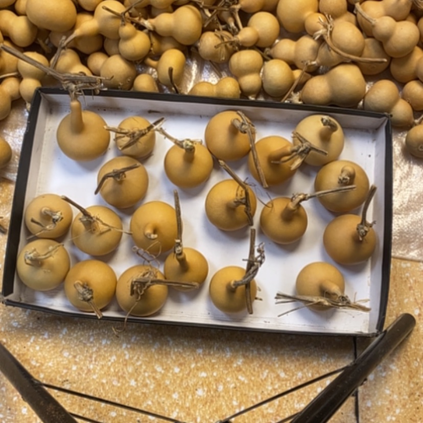 【闪购商品】二十个独把三十块钱