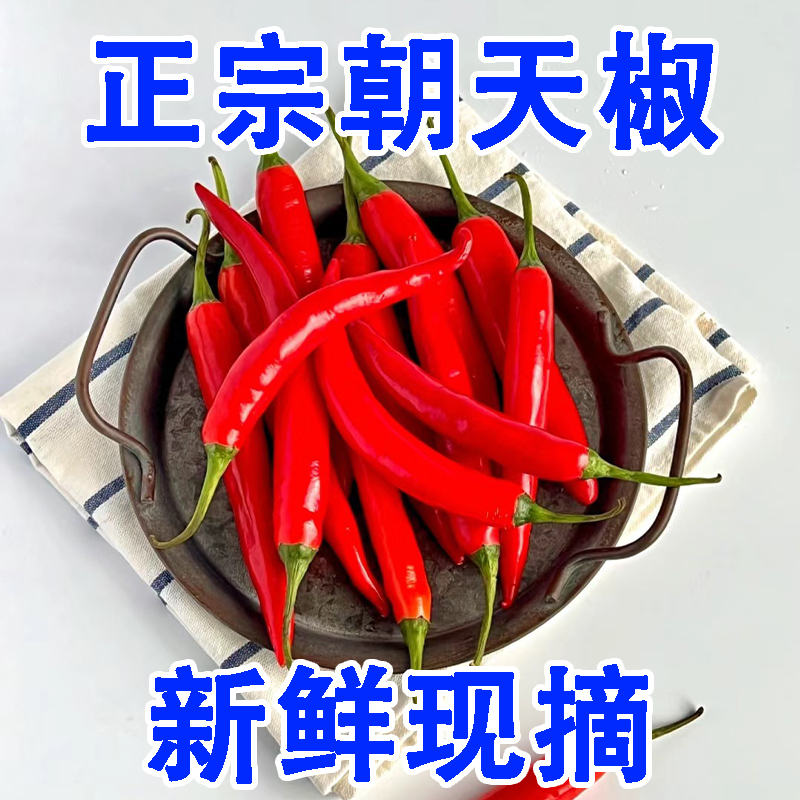 贵州农家种植小米辣现采现摘现发货