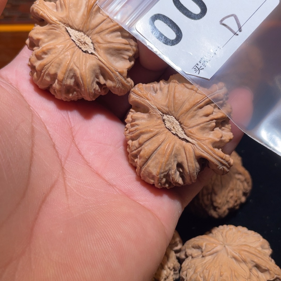 文玩核桃把件娃*白狮子