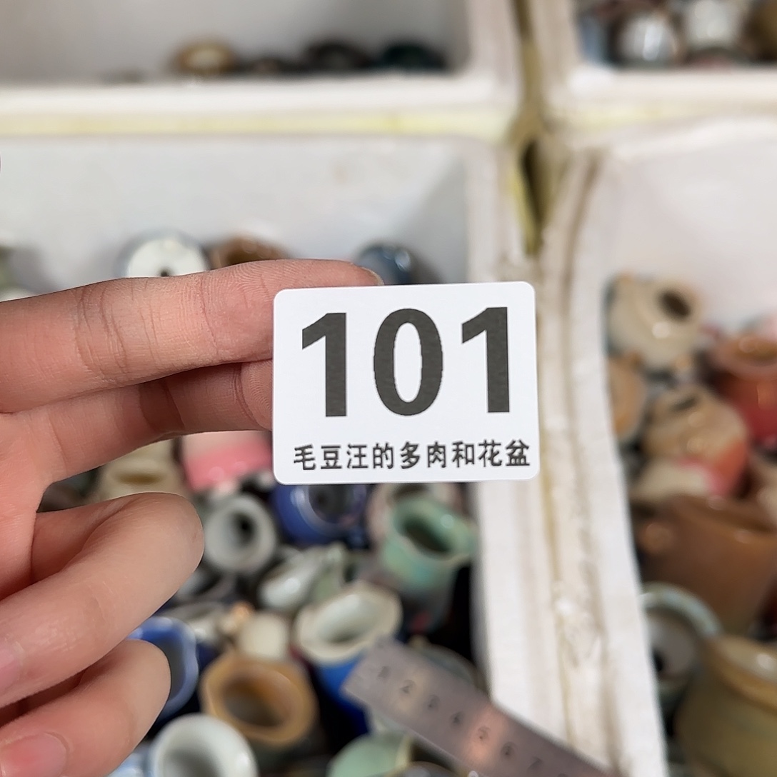 101 瑕疵特惠 自选花盆 no退no换