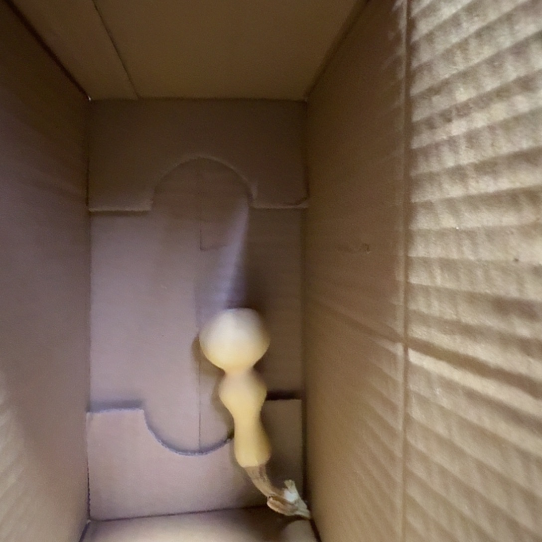 刘***博葫芦葫芦根是个不错选择哦这才