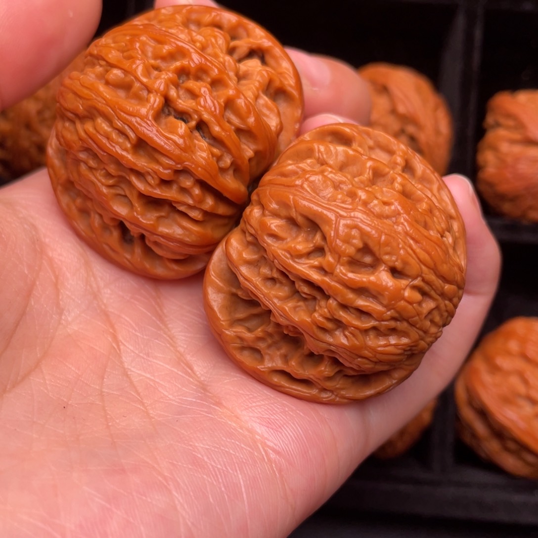 秦岭野生核桃文玩