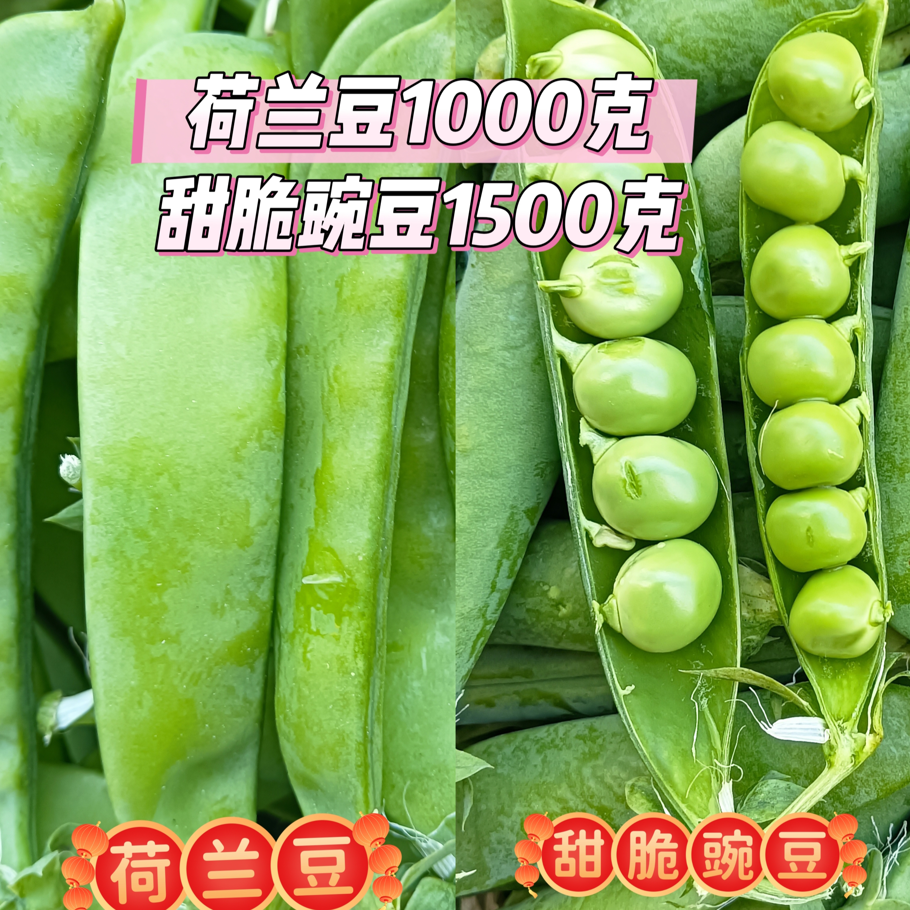 云南农家新鲜蔬菜露天带壳豌豆甜脆豌豆荷兰豆组合