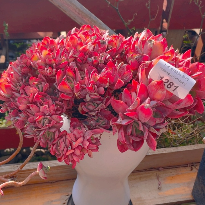 谢谢你的支持000001281