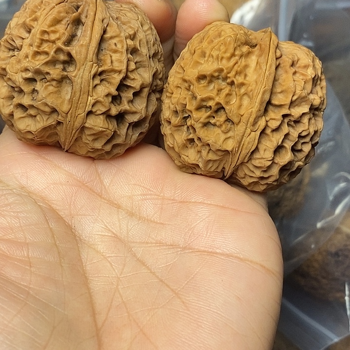 文玩核桃把件云南铁核桃41