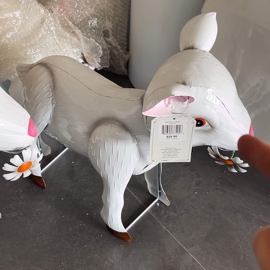 孤品炸炸炸炸炸炸