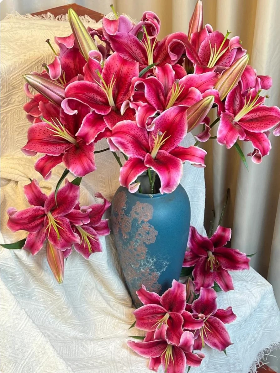 【花王朝】黑美人香水百合 云南直发鲜花家居水养插花鲜切花 