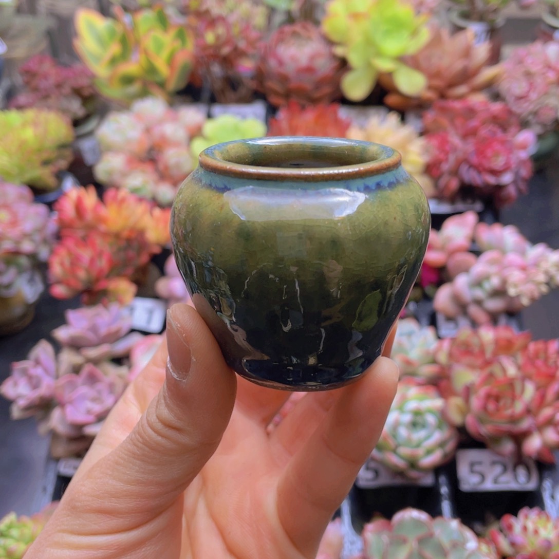 花器花器花器花器花器