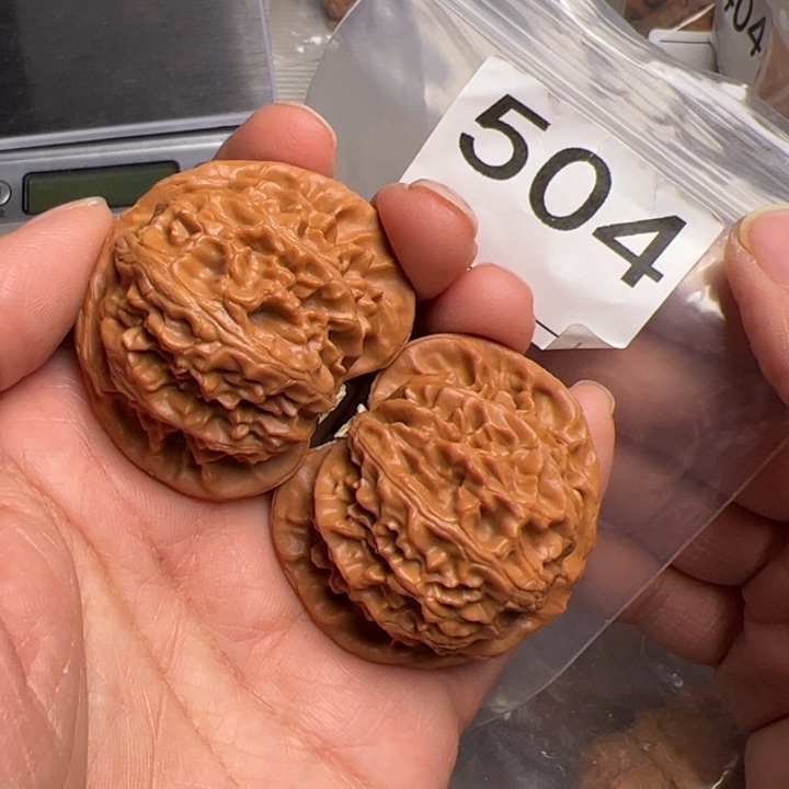 核桃宫灯504号45尺