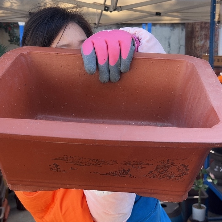 40红泥切角马槽花盆花盆花盆