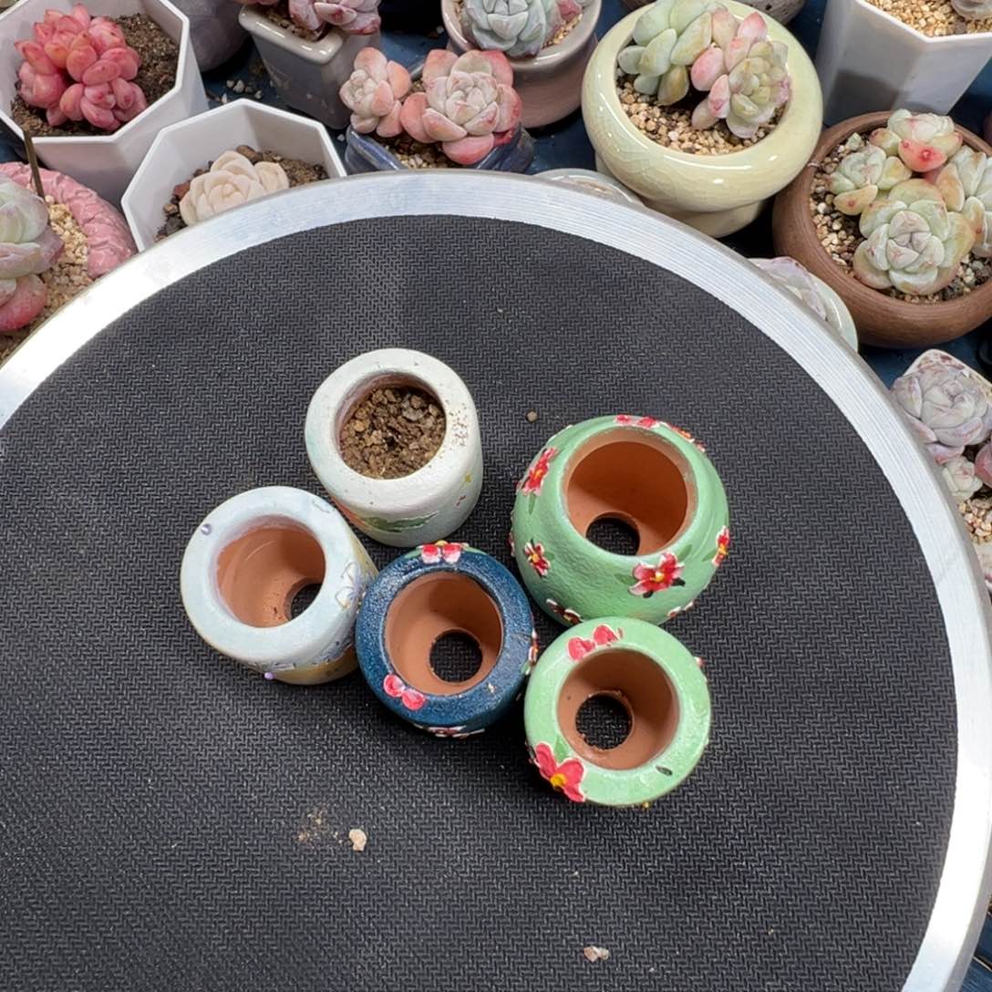 卓***卓冰玉的花盆土5个000