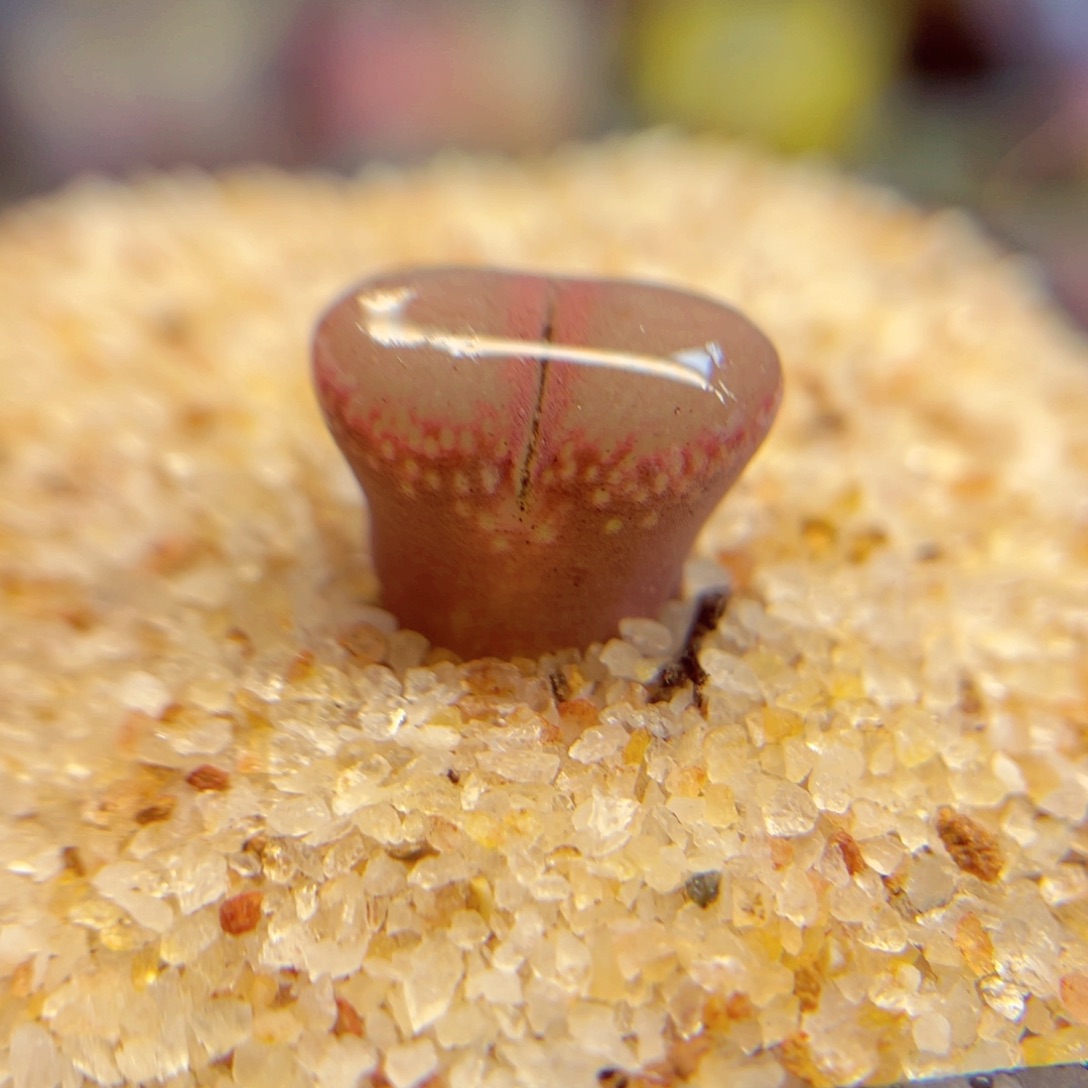 628. 7896546875785786688