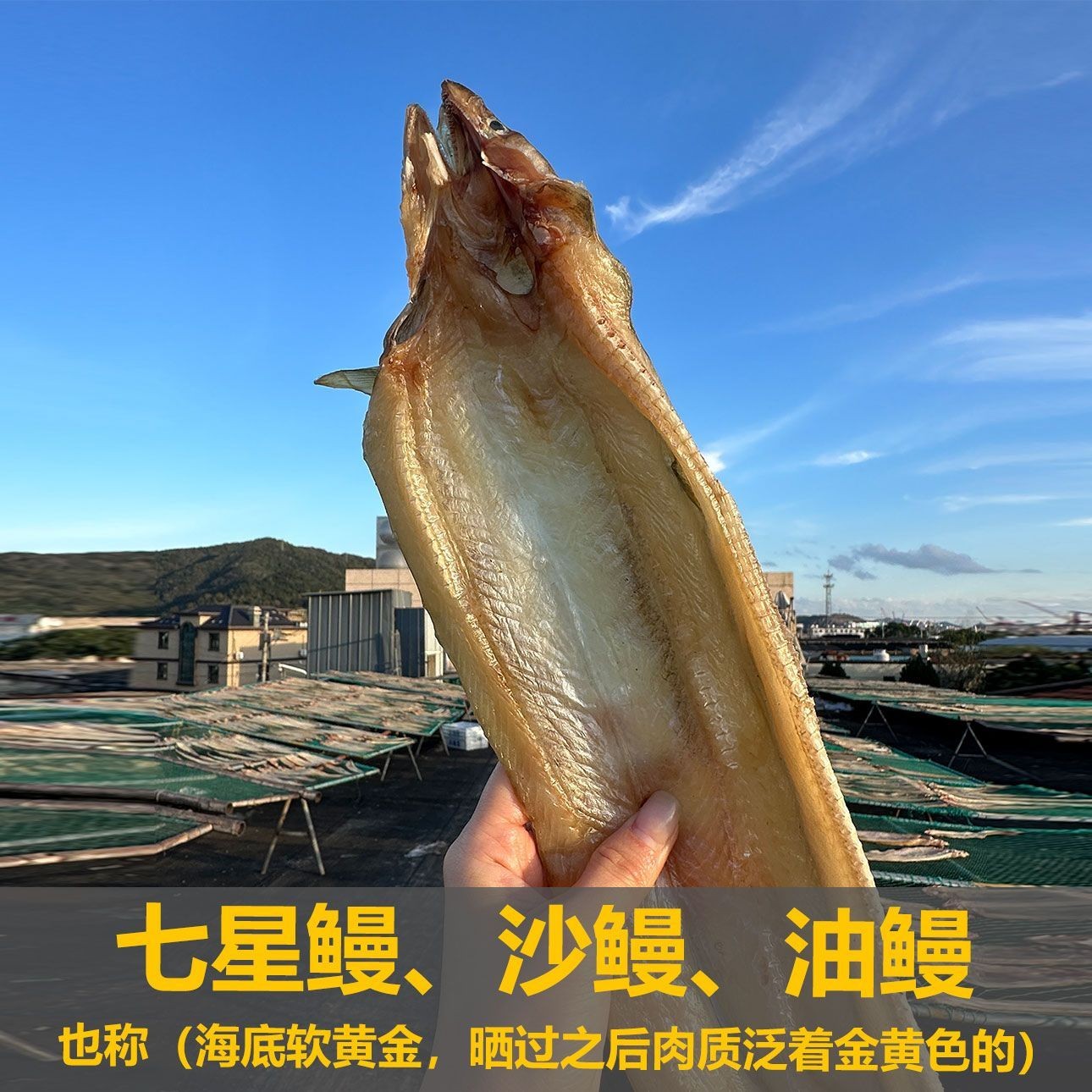 特大款舟山特产沙鳗鲞油鳗干七星鳗干淡晒肉嫩0.7-1斤/条3斤