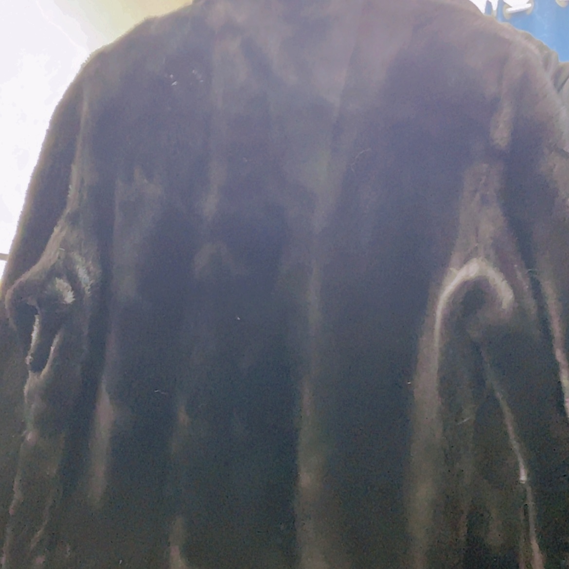 【闪购商品】水貂外套