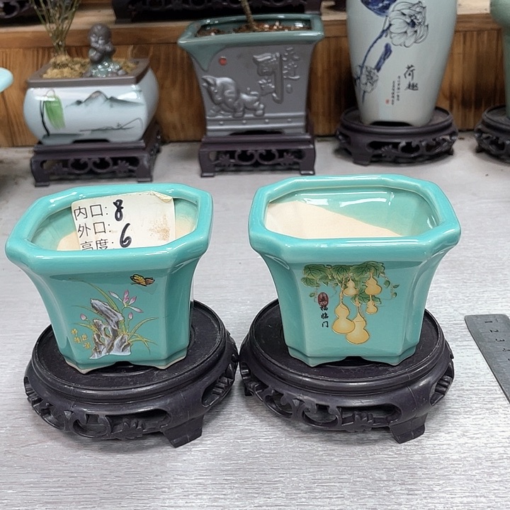 陶瓷花盆抢购福利活动