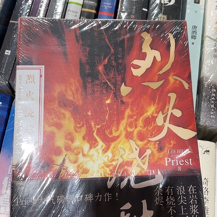 烈火浇愁一全新一本