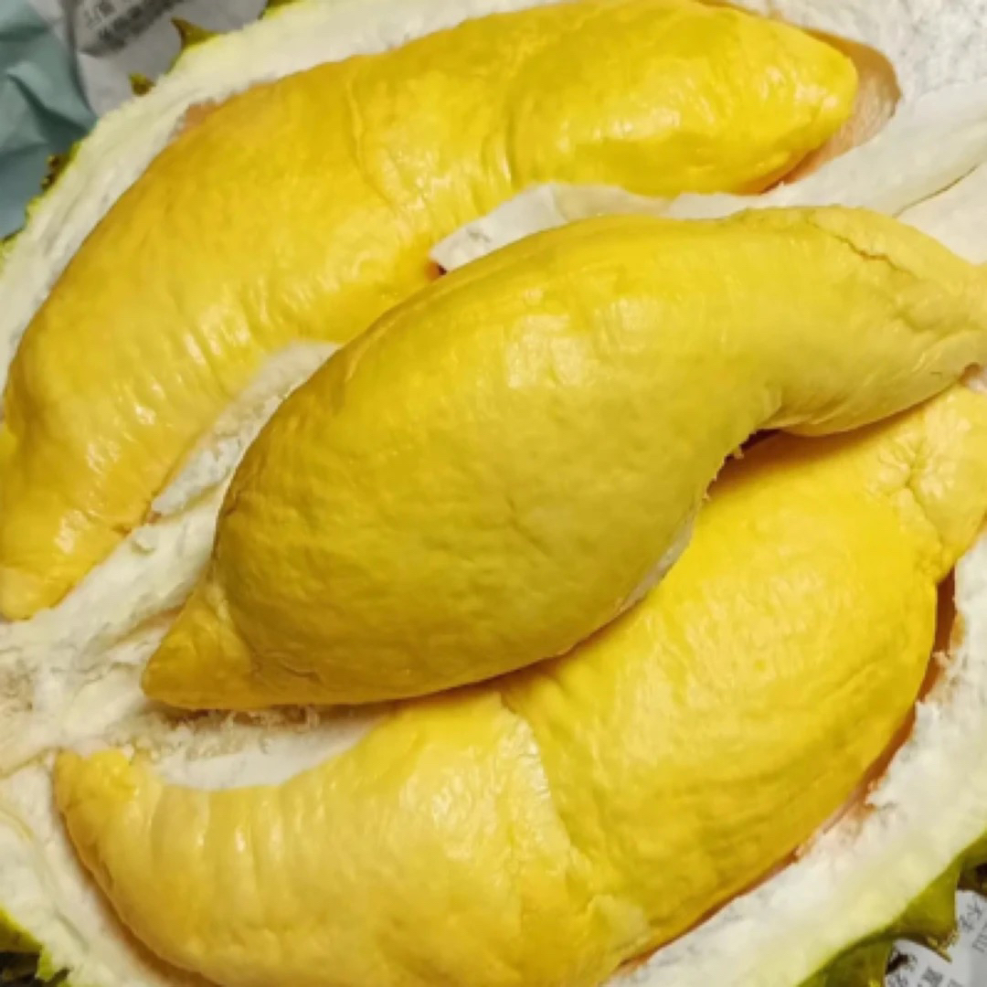 (同城快送)  干尧榴莲又称小猫山王  新鲜榴莲核大 中斤干尧越南