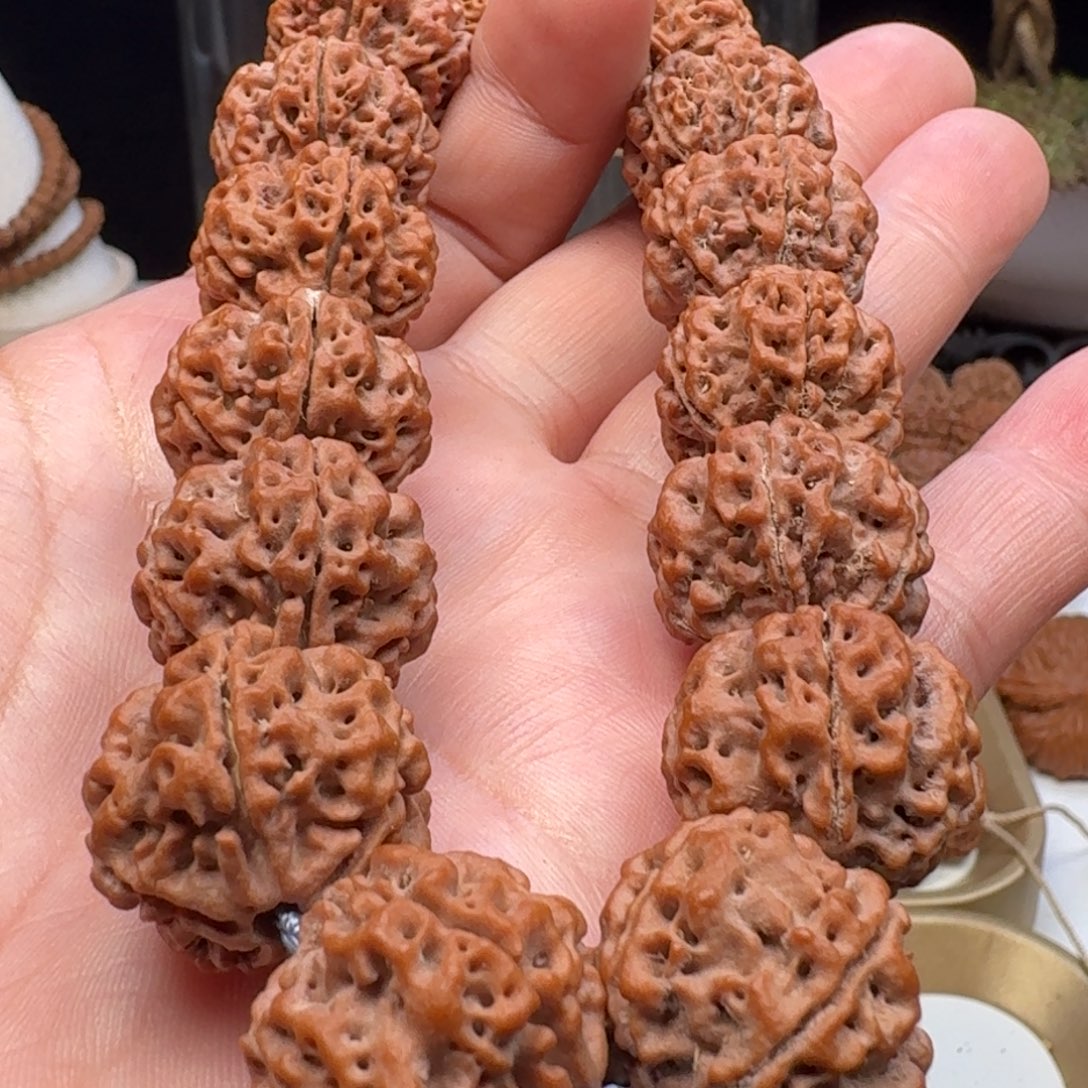 金刚菩提手串五星蜂王