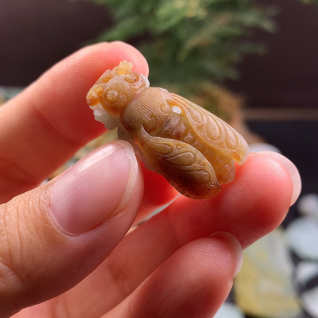 未镶嵌定制翡翠翡翠