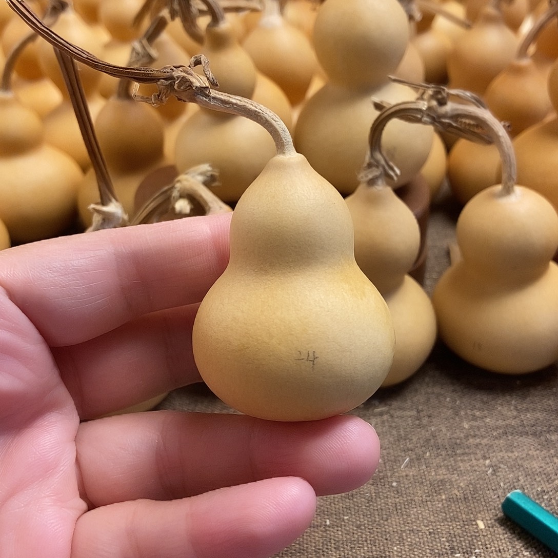 文玩葫芦 完美主义者 慎拍24