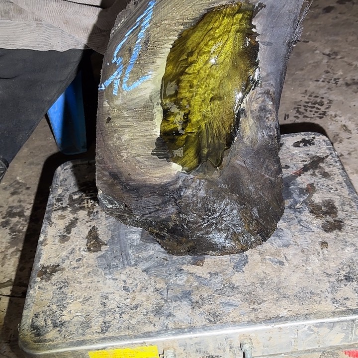 不***卿啊啊啊啊啊啊啊啊